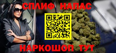 гидра Кинель