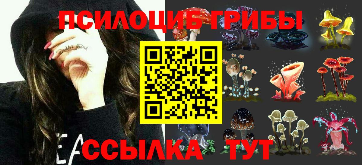 Качканар  Псилоцибиновые грибы мицелий  Вход с VPN  Псилоцибиновые грибы мухоморы 